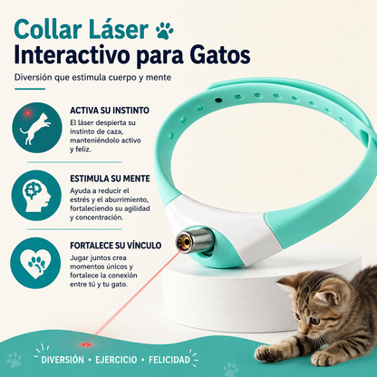 Dile adios al aburrimiento y la caida excesiva del pelo de tu mascota con este combo 3x1