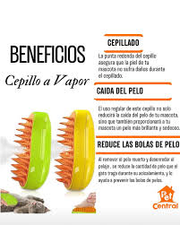 Combo de tunel plegable, laser interactivo y cepillo vaporizador